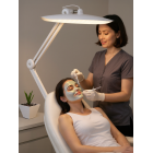 Светильник настольный светодиодный со струбциной TL-403W