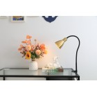 Светильник настольный на струбцине HT-701BRS 